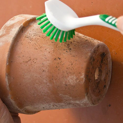 A guide for choosing containers for your plants