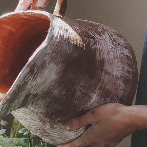 Winter Houseplant Care