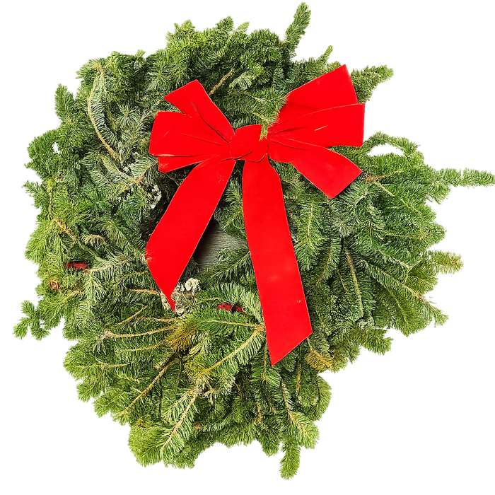 indoor fir plant Fraser Fir Wreath Decorated | Indoor Plant | Tropical Plant