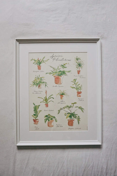 Plant Species Poster