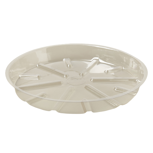 plant saucer 10 inch Plastic Saucer — House Plant Wholesale