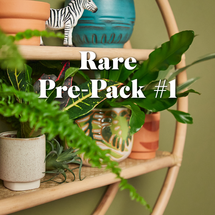 Rare Pre-Pack #1 | Pre-Bundle of Plants